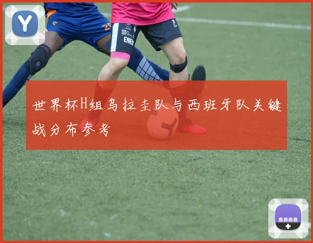 世界杯H组乌拉圭队与西班牙队关键战分布参考