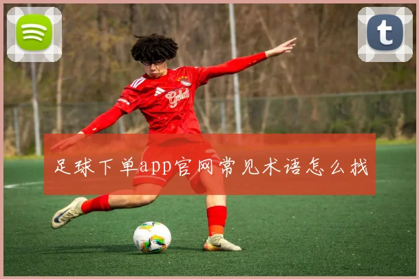 足球下单app官网常见术语怎么找